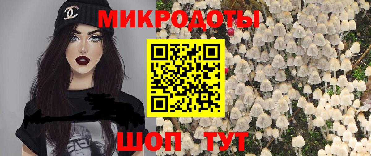 Псилоцибиновые грибы Cubensis Михайловск